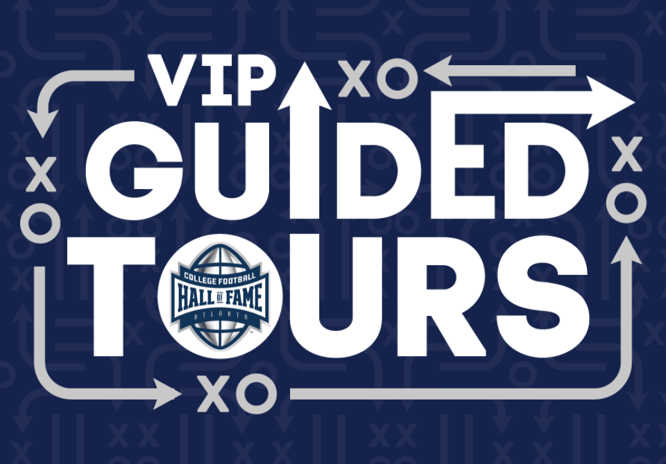 /media/0k4dtxtm/vip-guided-tours-960x670.png
