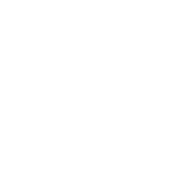 Southernco V W (1)
